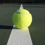 ダイアモンド コースト エニスクロン