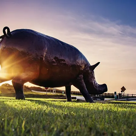 Hotel Diamond Coast 4*